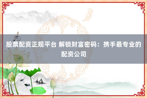 股票配资正规平台 解锁财富密码：携手最专业的配资公司