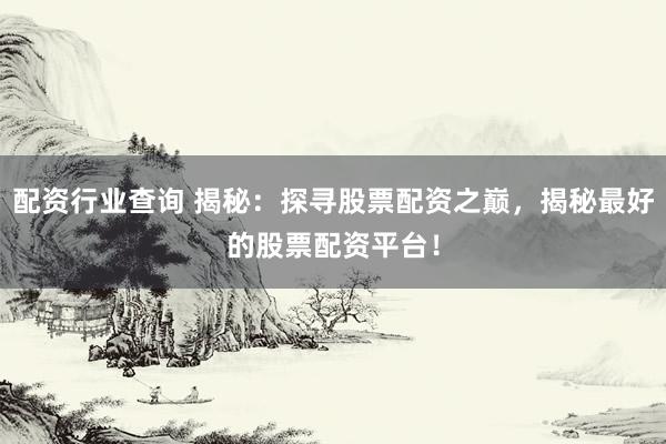 配资行业查询 揭秘：探寻股票配资之巅，揭秘最好的股票配资平台！