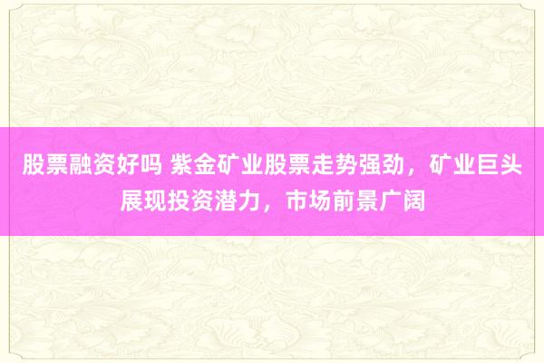 股票融资好吗 紫金矿业股票走势强劲，矿业巨头展现投资潜力，市场前景广阔