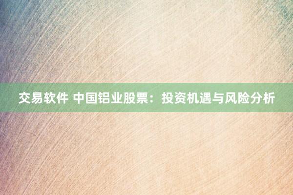 交易软件 中国铝业股票：投资机遇与风险分析