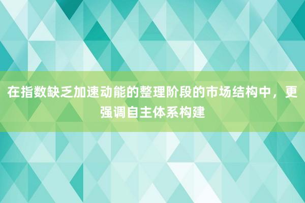 在指数缺乏加速动能的整理阶段的市场结构中，更强调自主体系构建