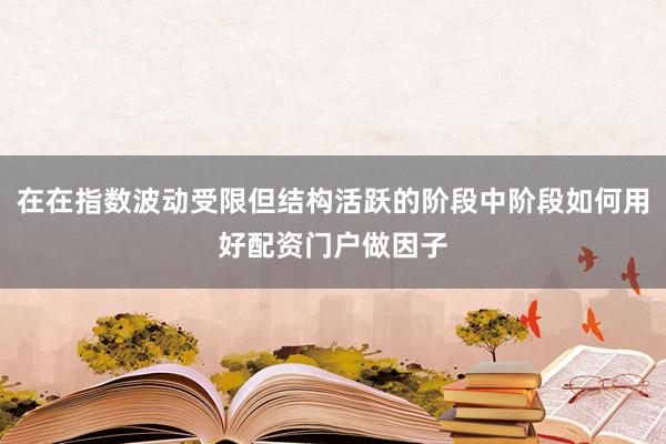 在在指数波动受限但结构活跃的阶段中阶段如何用好配资门户做因子