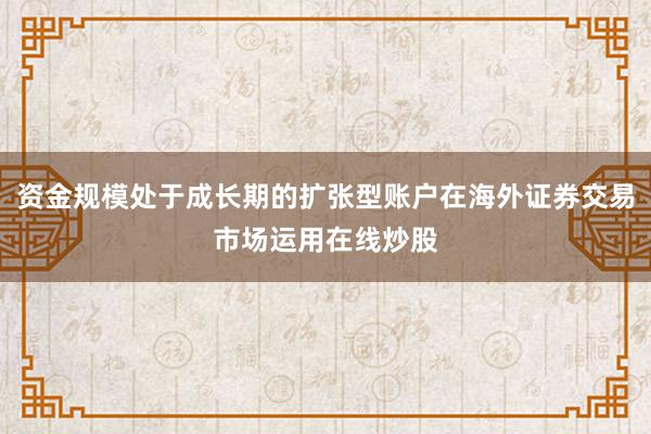 资金规模处于成长期的扩张型账户在海外证券交易市场运用在线炒股